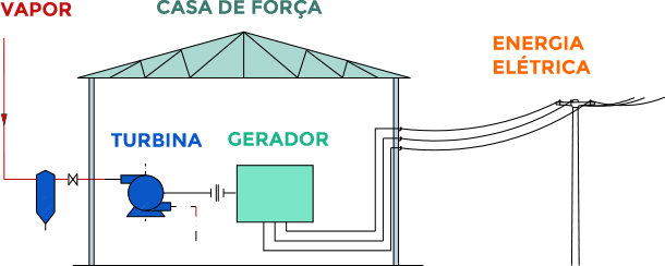 Etapa  - Bioeletricidade