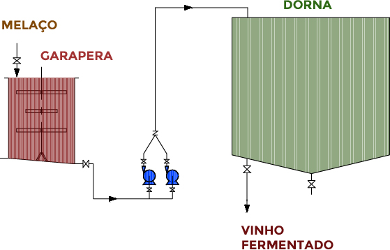 Etapa  - Fermentação