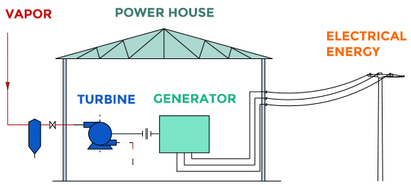 Stages  - Bioelectricity