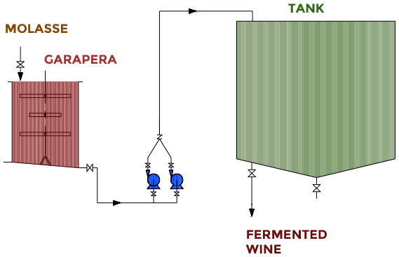 Stages - Fermentation